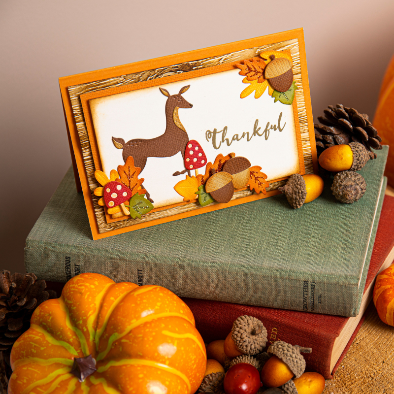sizzix-thinlits-harvest-squirrels-stanzschablonen-8-tlg-herbst image 3