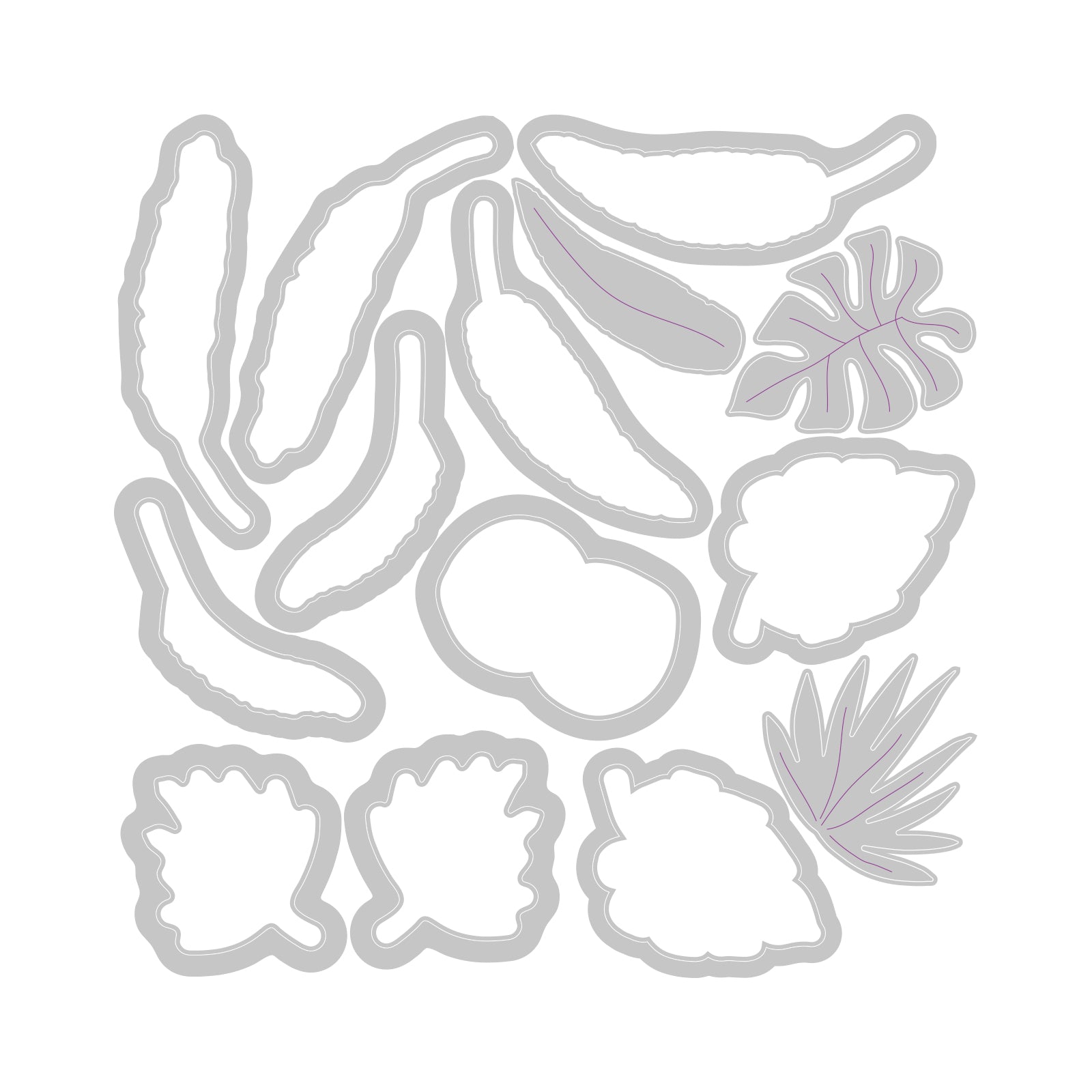 sizzix-thinlits-stay-wild-2-catherine-pooler-stanzform-14-tlg image 2