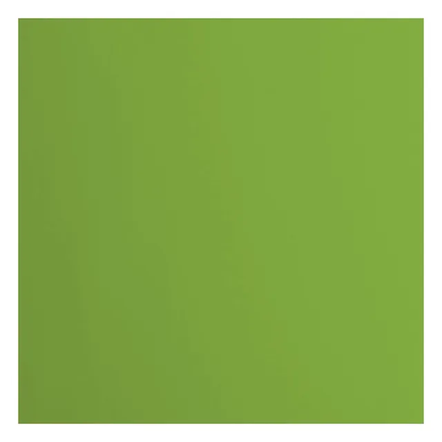 vaessen-creative-florence-tonkarton-30-5x30-5-gr-n-20-b-gen-glatt image 1