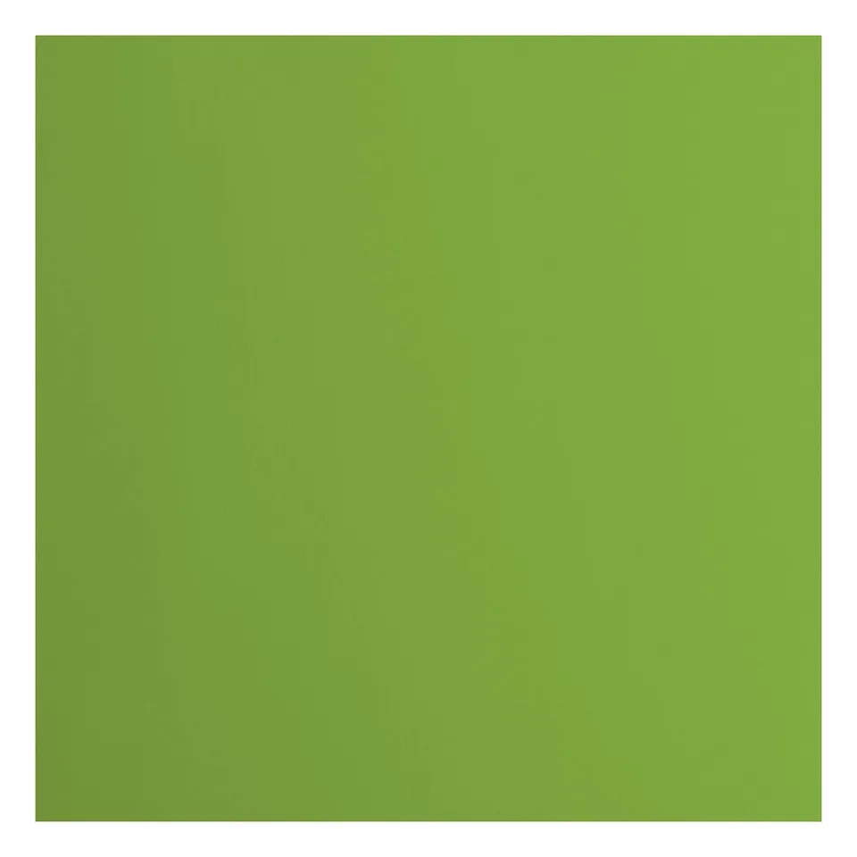 vaessen-creative-florence-tonkarton-30-5x30-5-gr-n-20-b-gen-glatt image 1