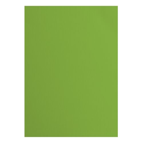 vaessen-creative-florence-tonkarton-a4-frog-gr-n-25-b-gen-textur image 4