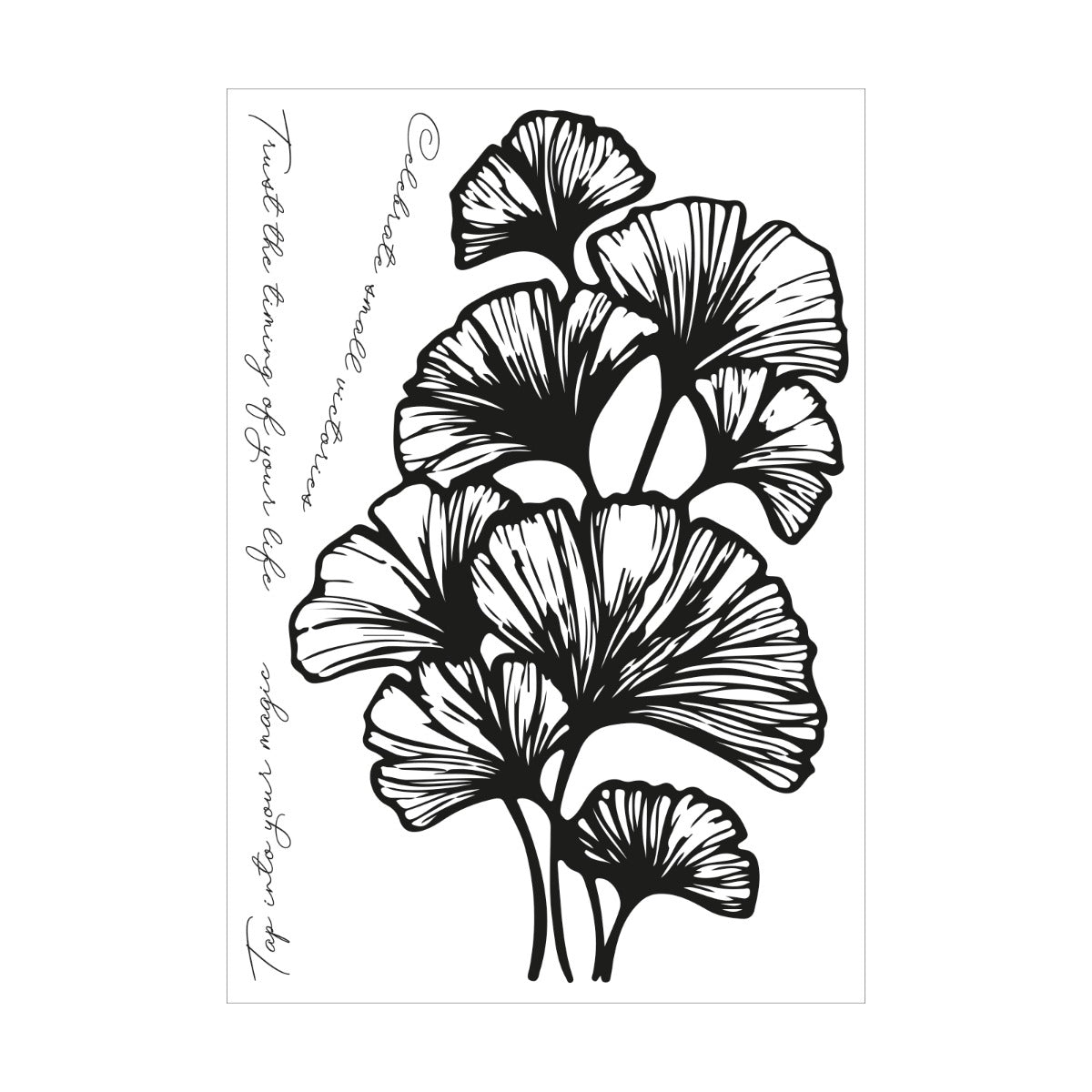 sizzix-clear-stamps-cosmopolitan-stempelset-4-tlg-botanisch image 2