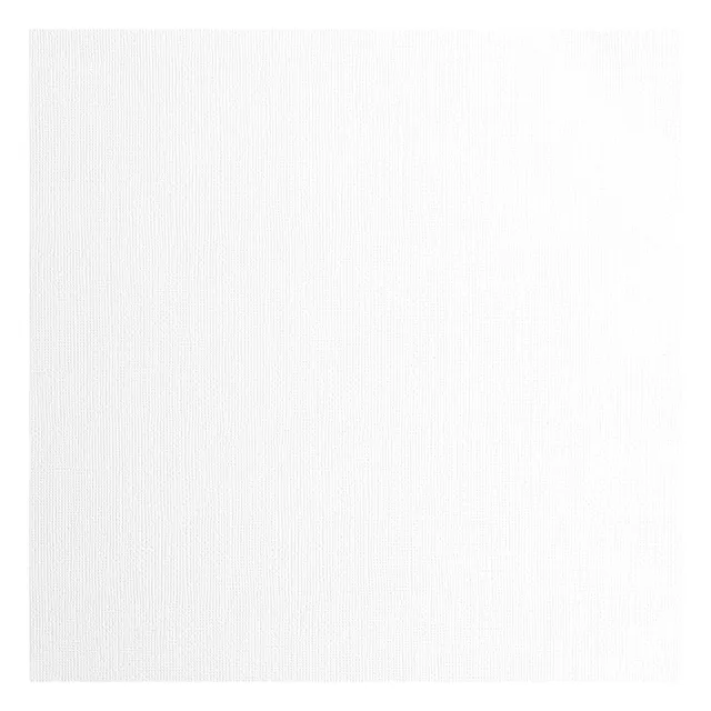 vaessen-florence-cardstock-tonkarton-wei-30-5x30-5cm-20er-216g image 1