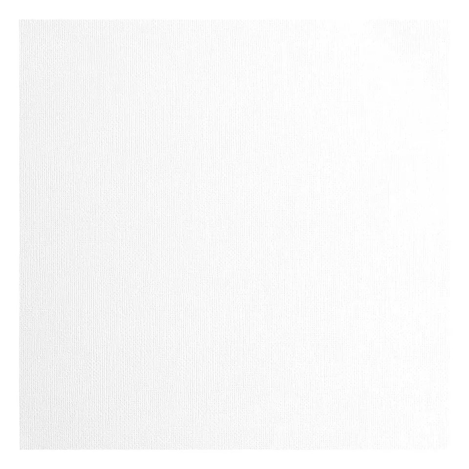 vaessen-florence-cardstock-tonkarton-wei-30-5x30-5cm-20er-216g image 1