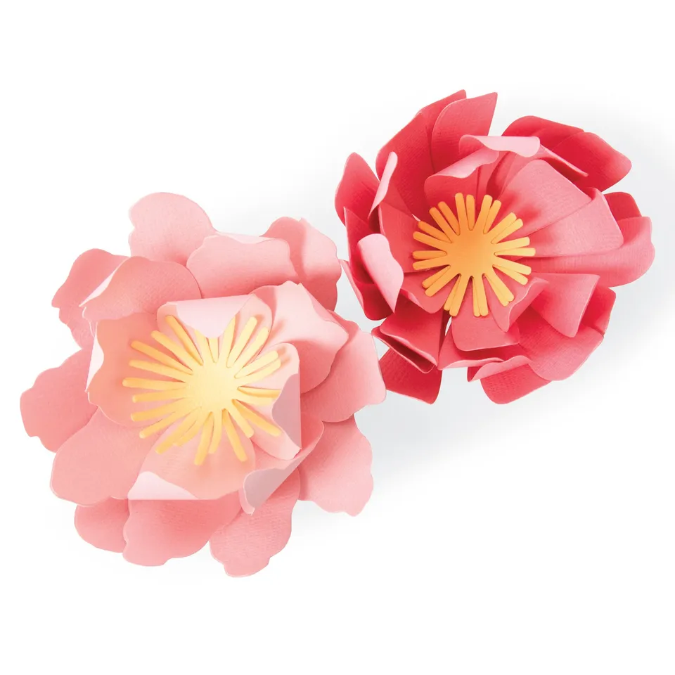 sizzix-bigz-summer-blooms-stanzform-blumen-3d-bigshot image 1