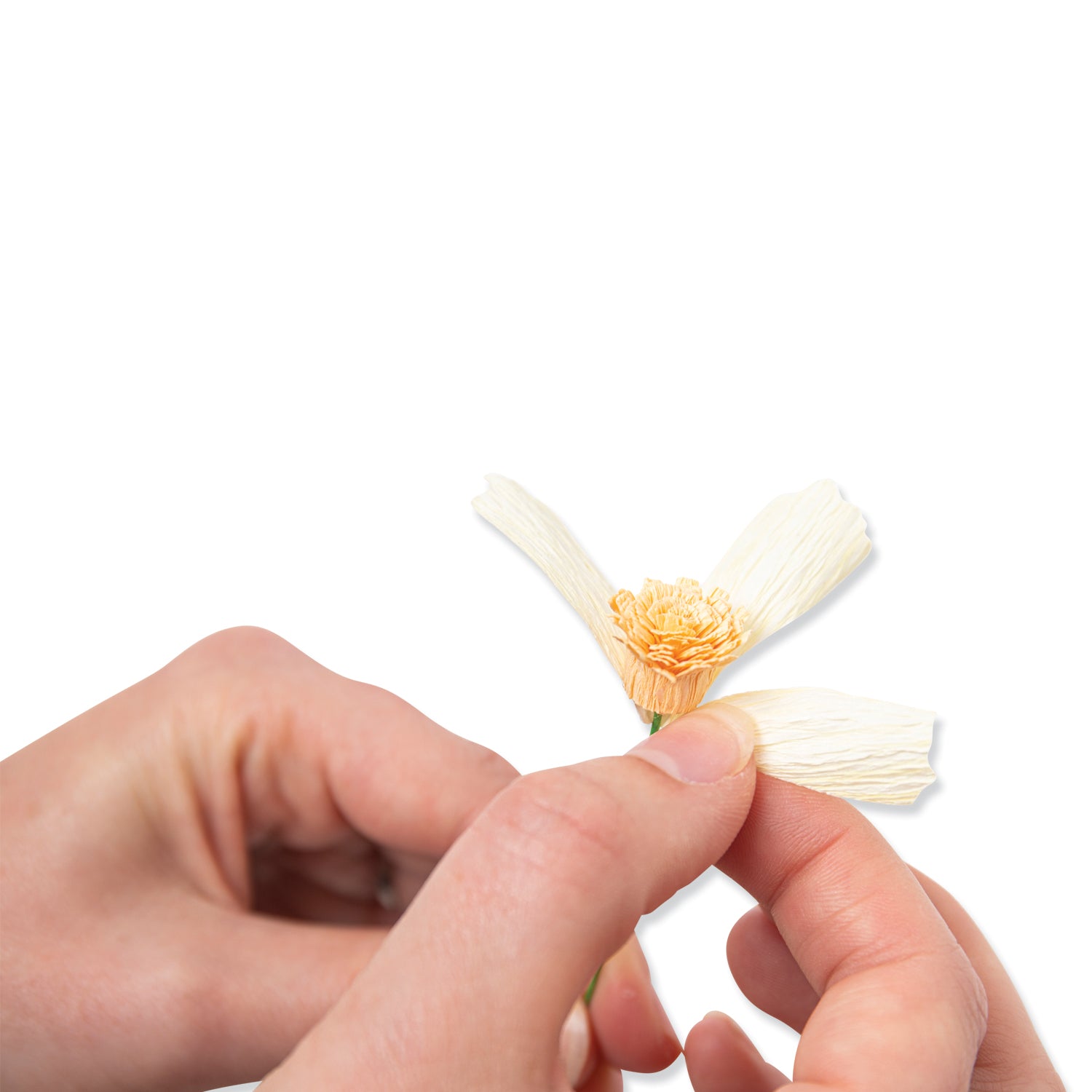 sizzix-thinlits-daisy-flower-mix-stanzschablonen-8-tlg-margerite image 4