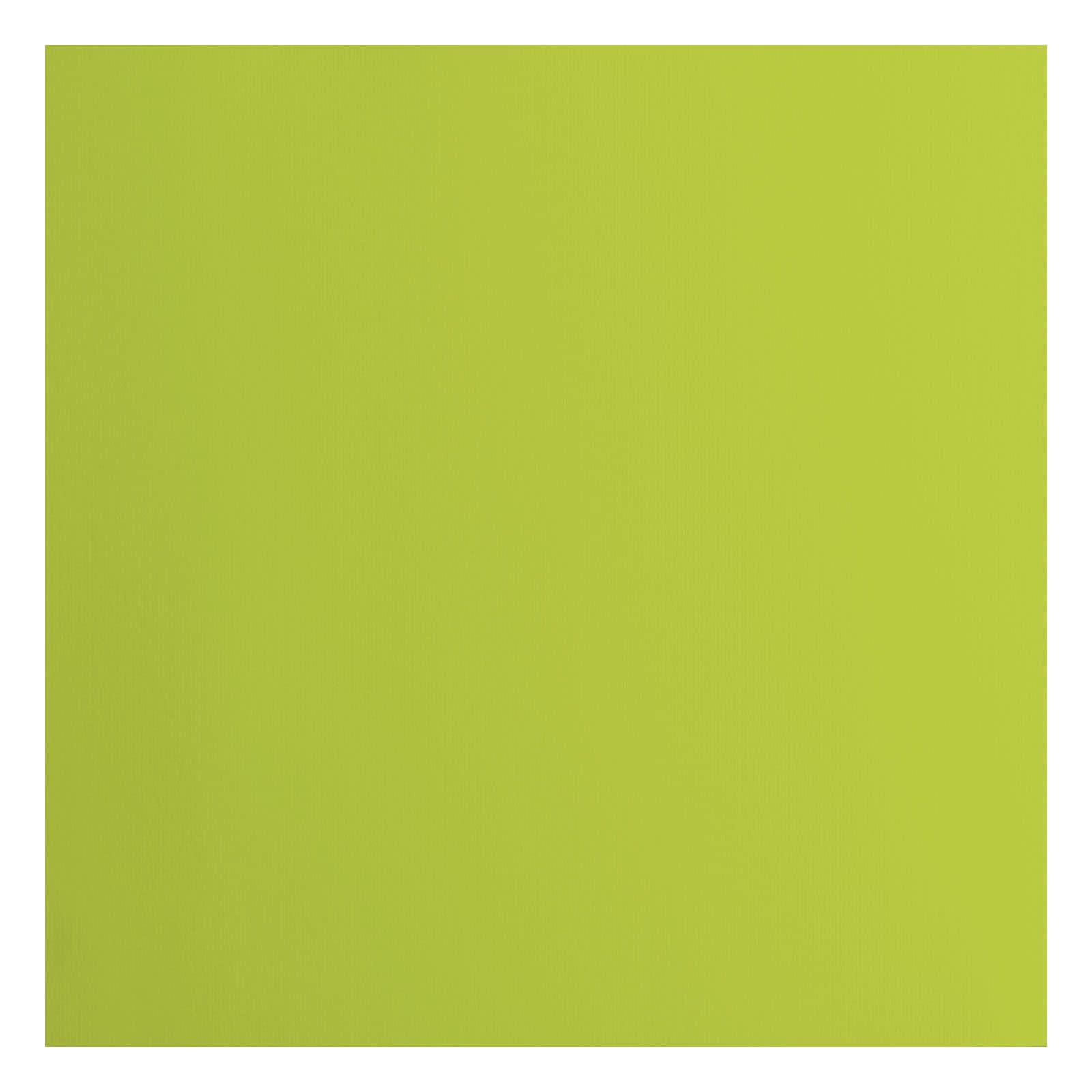 vaessen-florence-cardstock-tonkarton-gr-n-30-5cm-20-stk-216g image 1