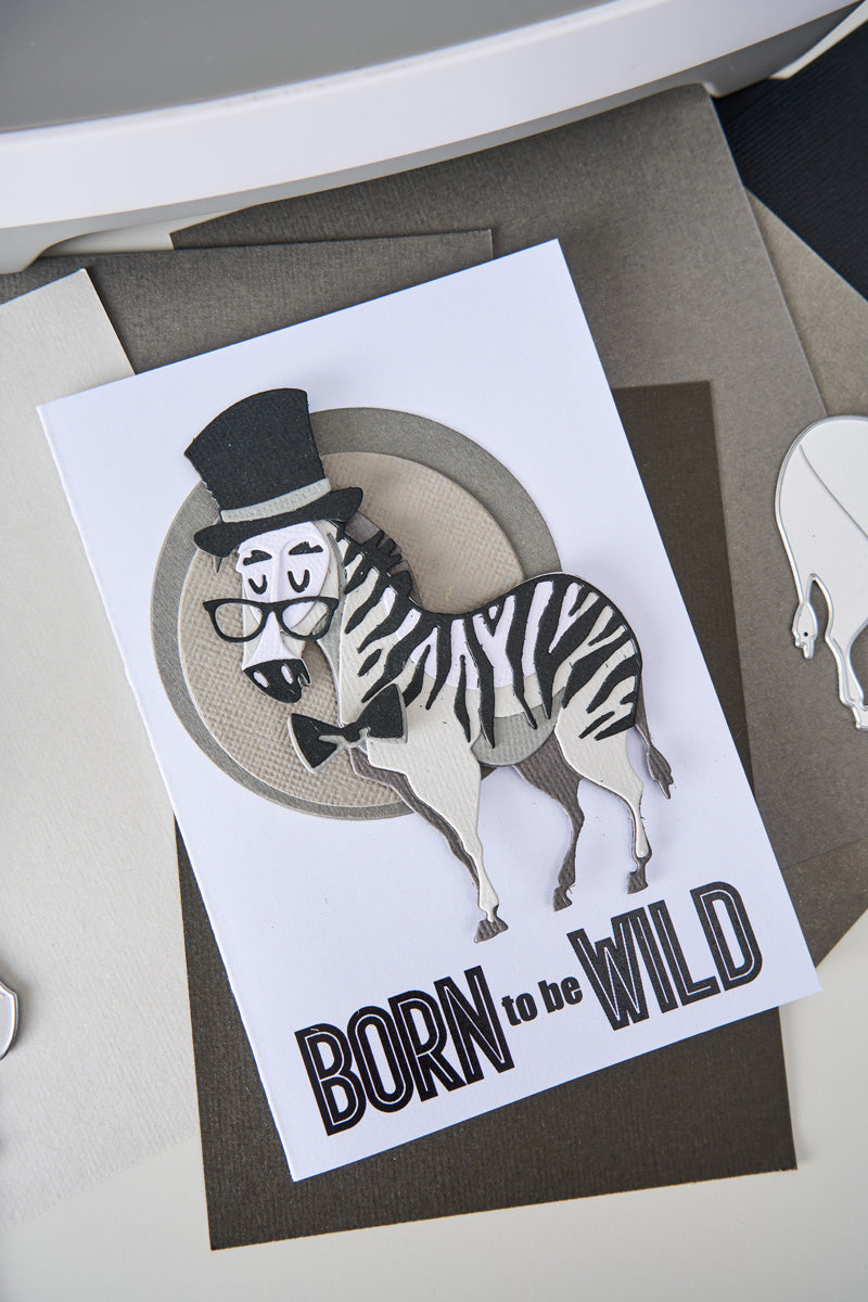 sizzix-thinlits-winifred-mini-colorize-stanzschablonen-11tlg-zebra image 2