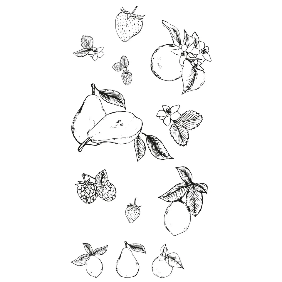 sizzix-clear-stamps-botanical-fruit-stempel-19-tlg-obst image 1