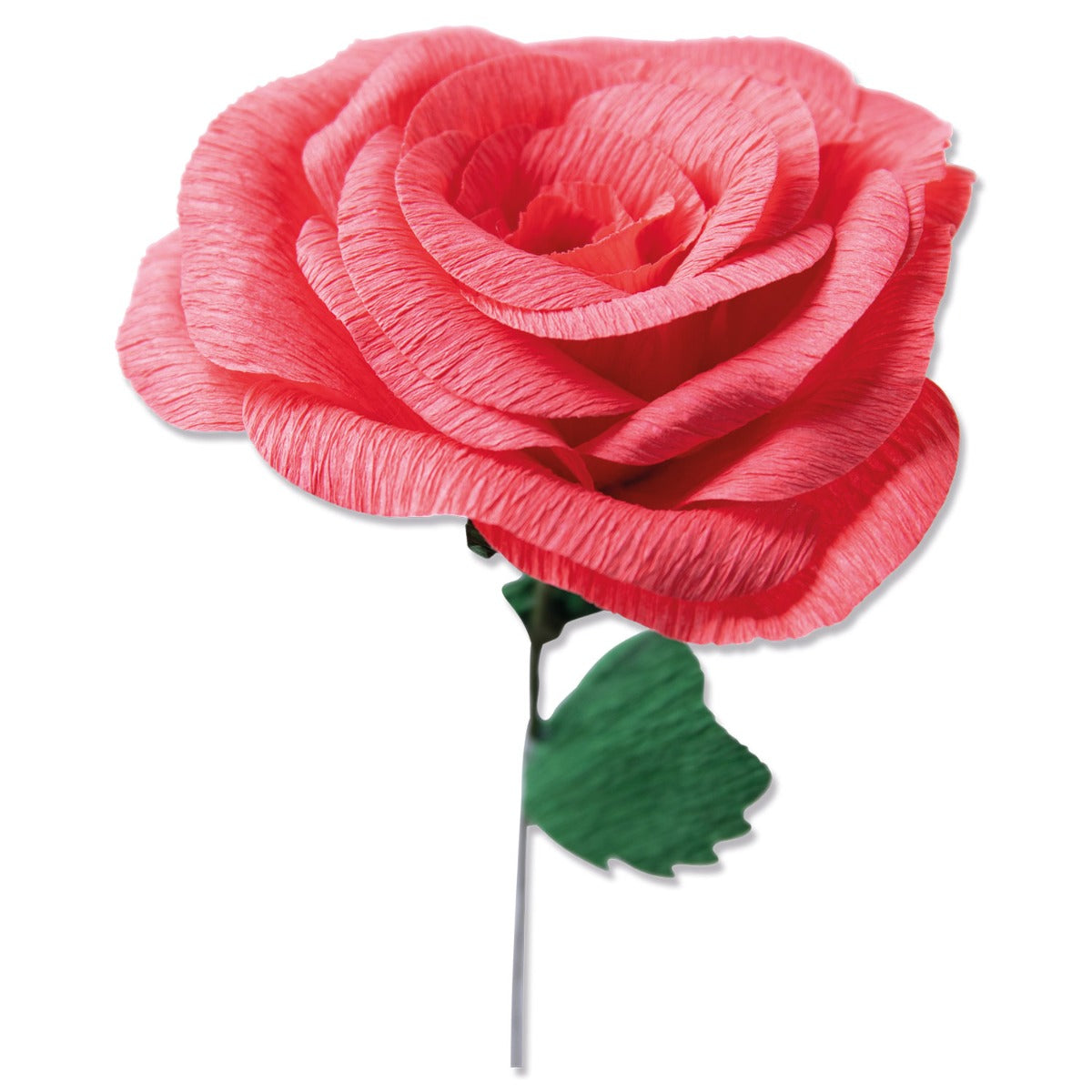 sizzix-thinlits-classic-rose-stanzschablonen-5er-3-d-blumen image 1