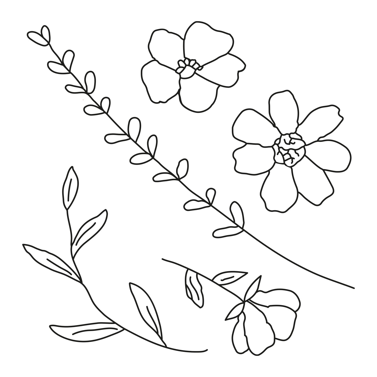 sizzix-framelits-botanical-frames-stempel-set-rahmen image 3