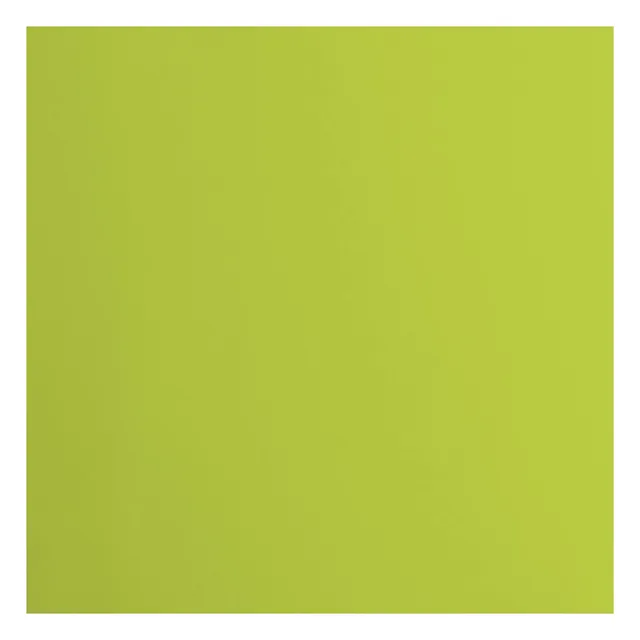 vaessen-florence-cardstock-tonkarton-gr-n-30-5cm-20-stk-216g image 1