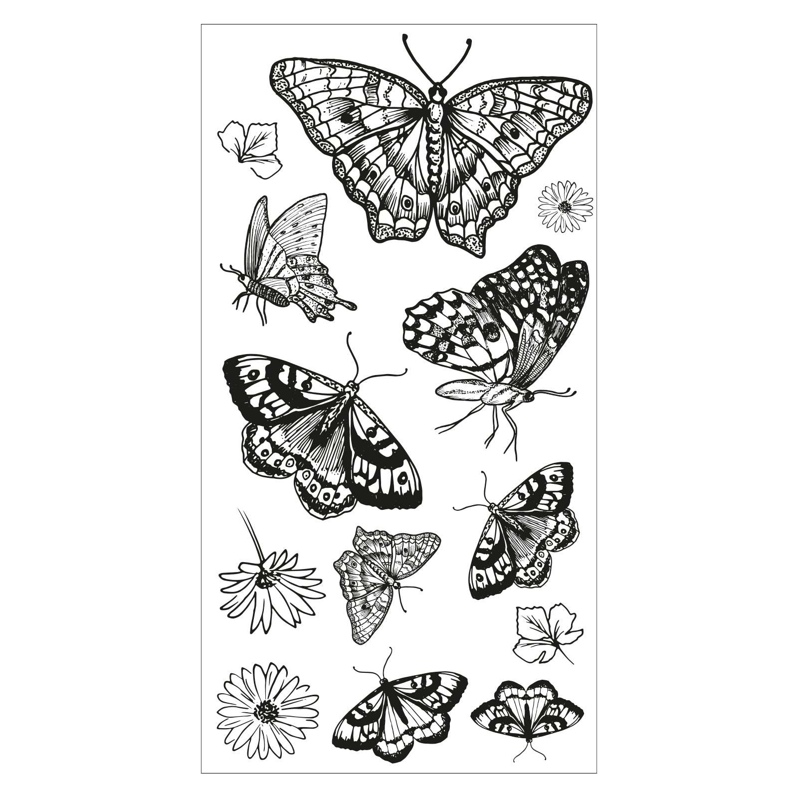 sizzix-clear-stamps-nature-butterflies-stempelset-13tlg image 3