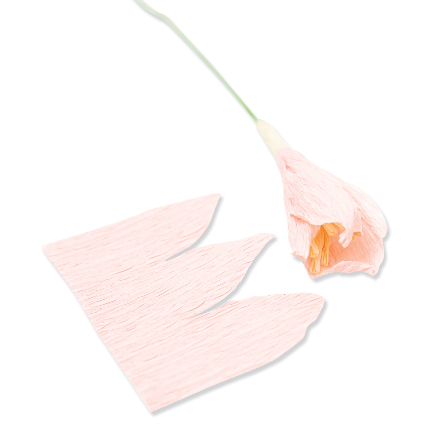 sizzix-thinlits-garden-rose-stanzform-7er-blumen image 3