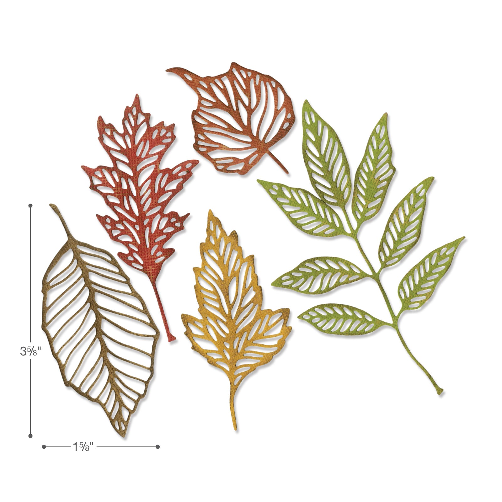 sizzix-thinlits-skeleton-leaves-stanzschablonen-5tlg image 2