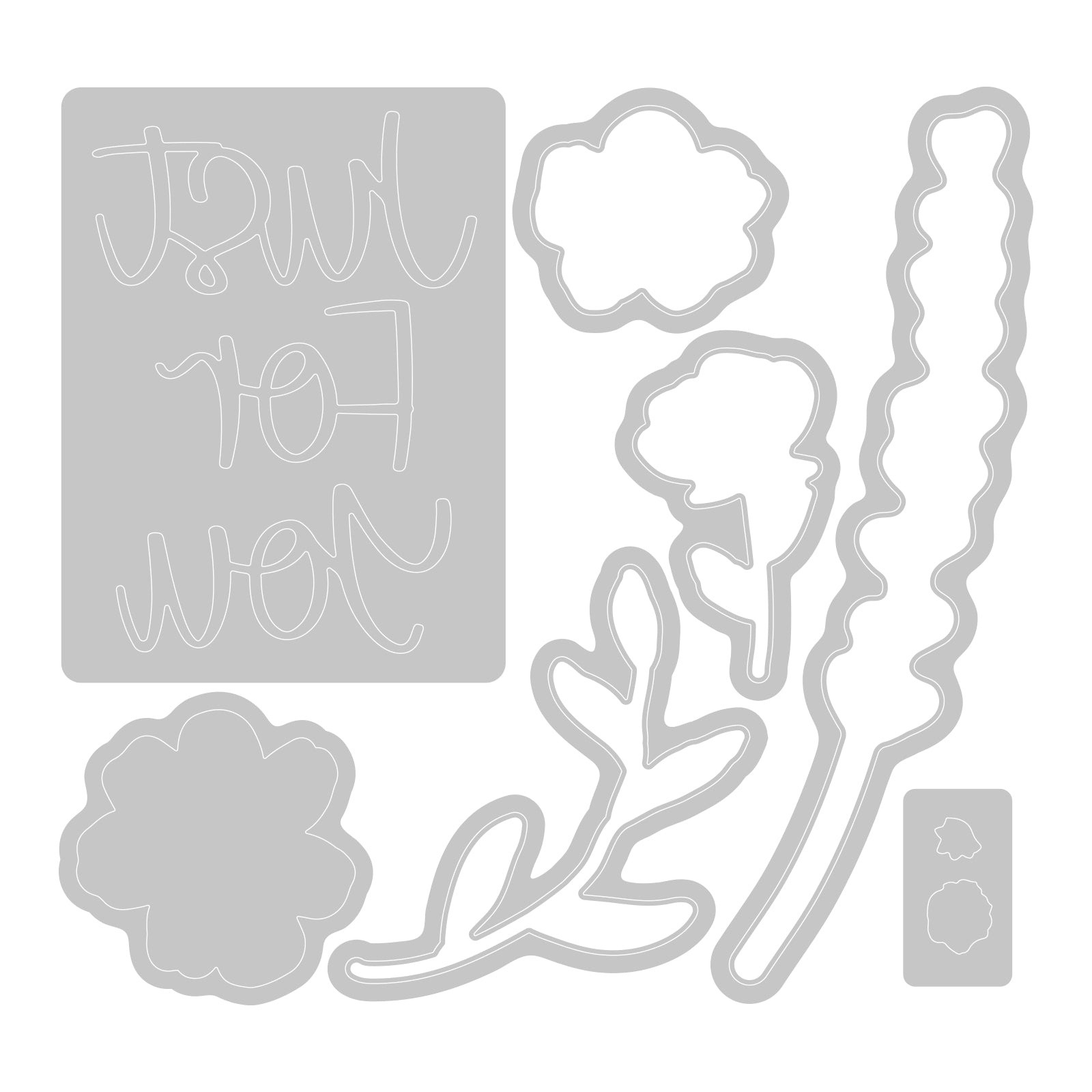 sizzix-framelits-botanical-frames-stempel-set-rahmen image 2