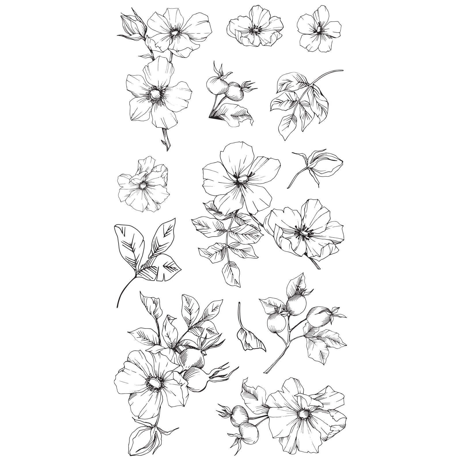 sizzix-clear-stamps-wildflower-botanicals-stempelset-13tlg image 1