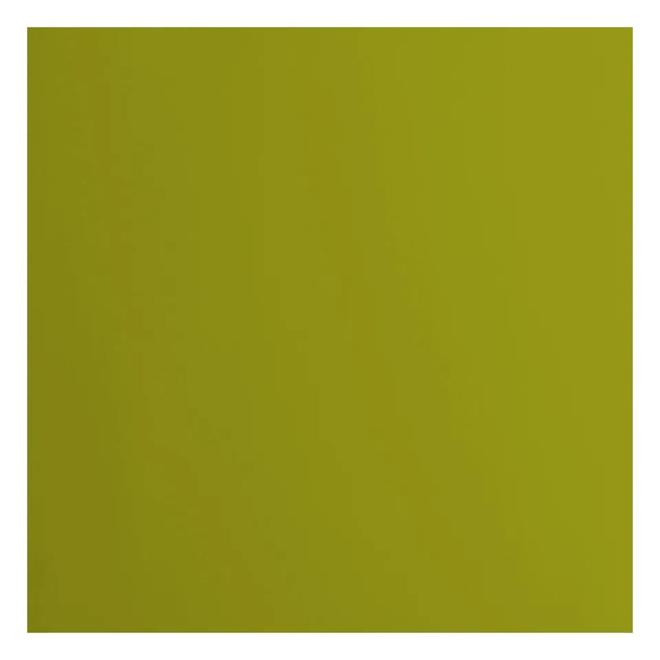 vaessen-florence-cardstock-tonkarton-gr-n-30-5x30-5cm-20-blatt image 1