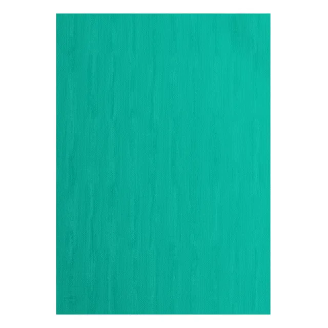 vaessen-creative-florence-tonkarton-a4-spa-gr-n-25-blatt-216-g image 1
