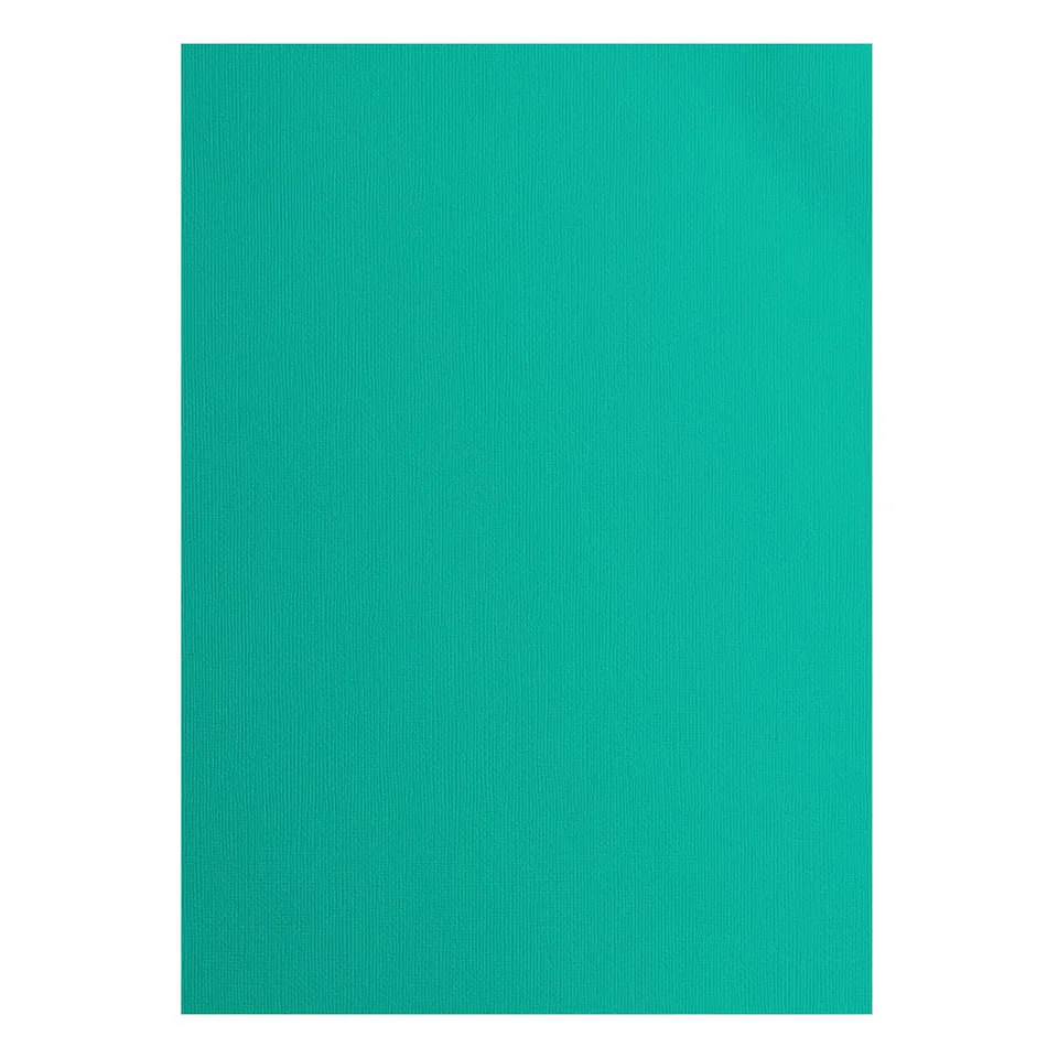 vaessen-creative-florence-tonkarton-a4-spa-gr-n-25-blatt-216-g image 1