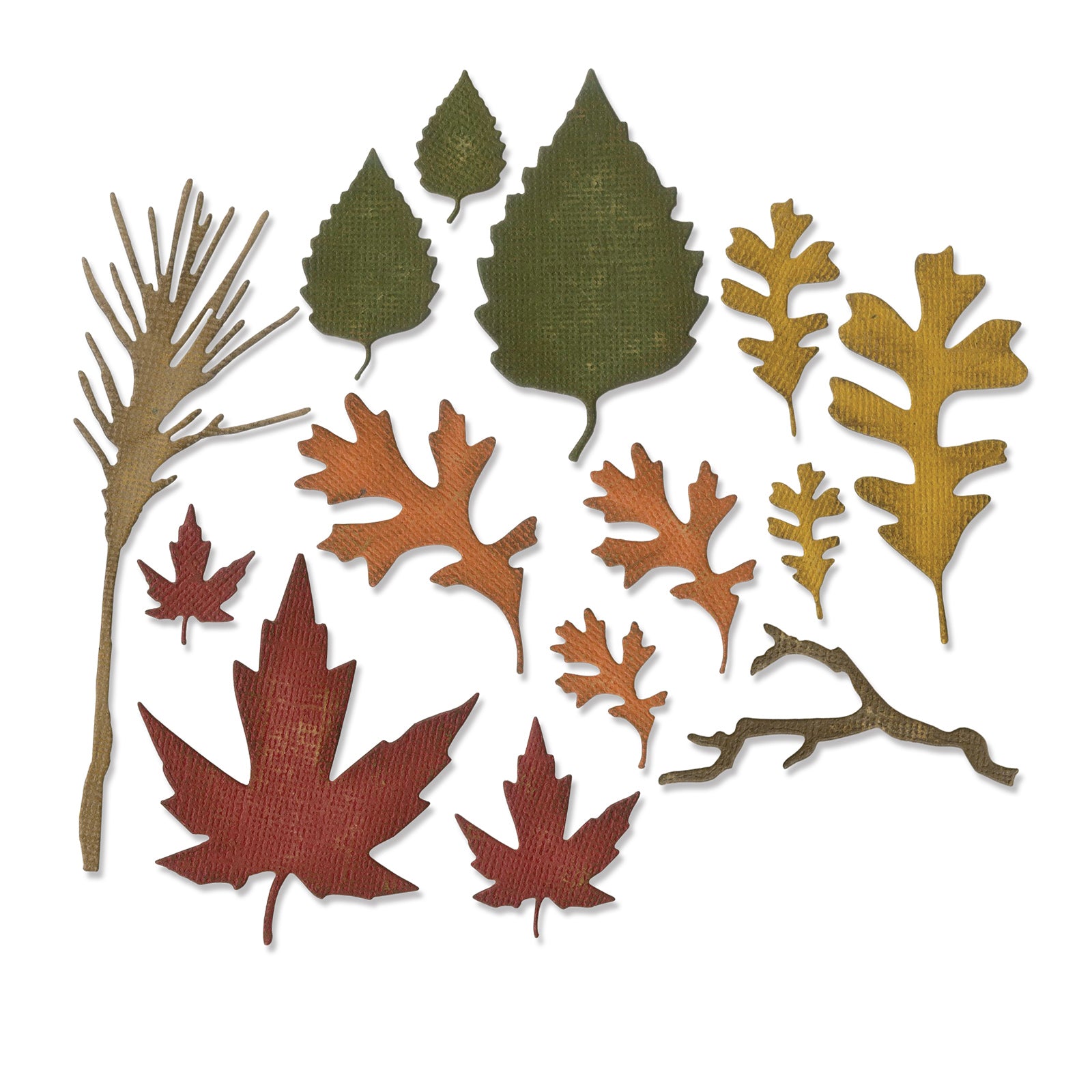 sizzix-thinlits-fall-foliage-stanzen-14er-set-tim-holtz image 1