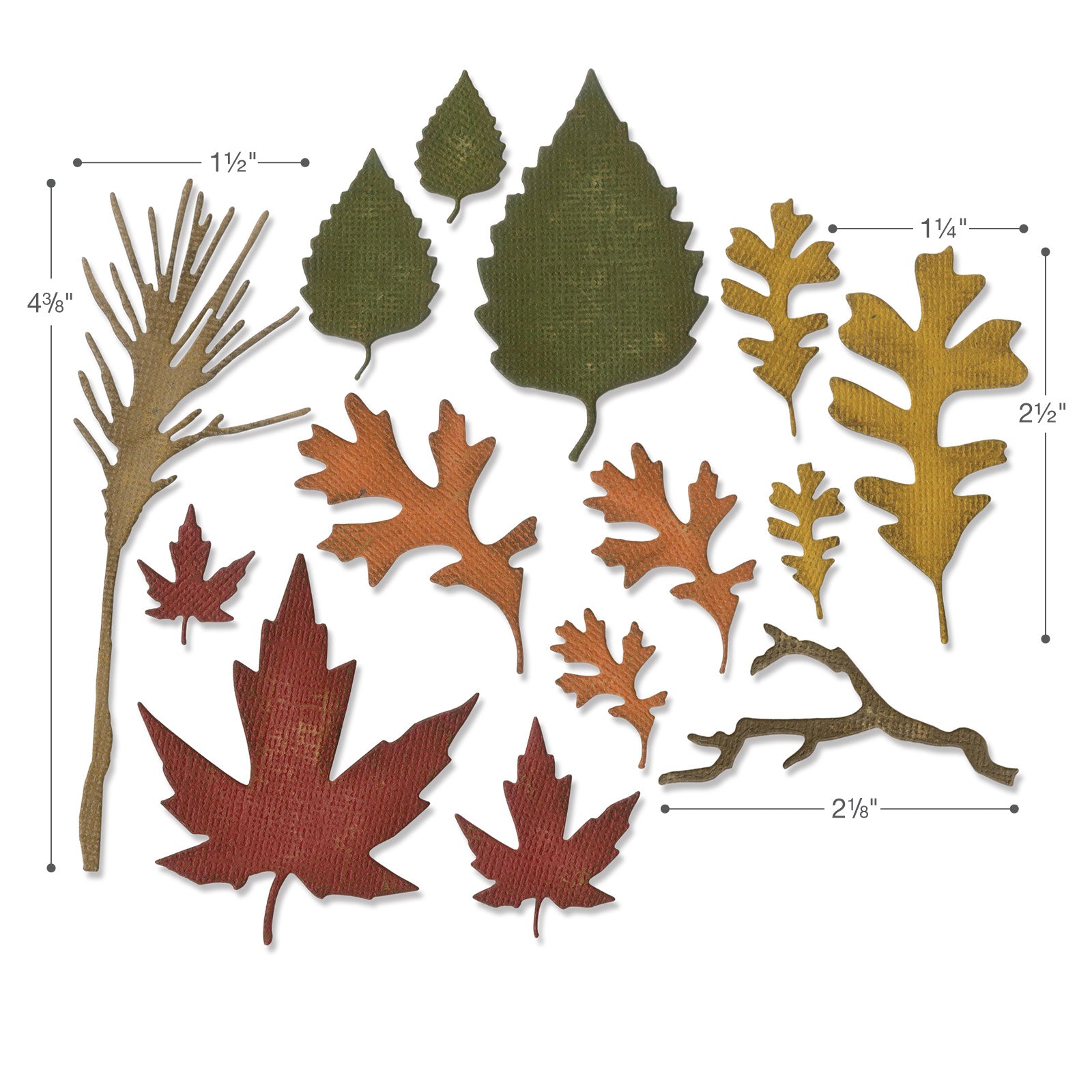 sizzix-thinlits-fall-foliage-stanzen-14er-set-tim-holtz image 2