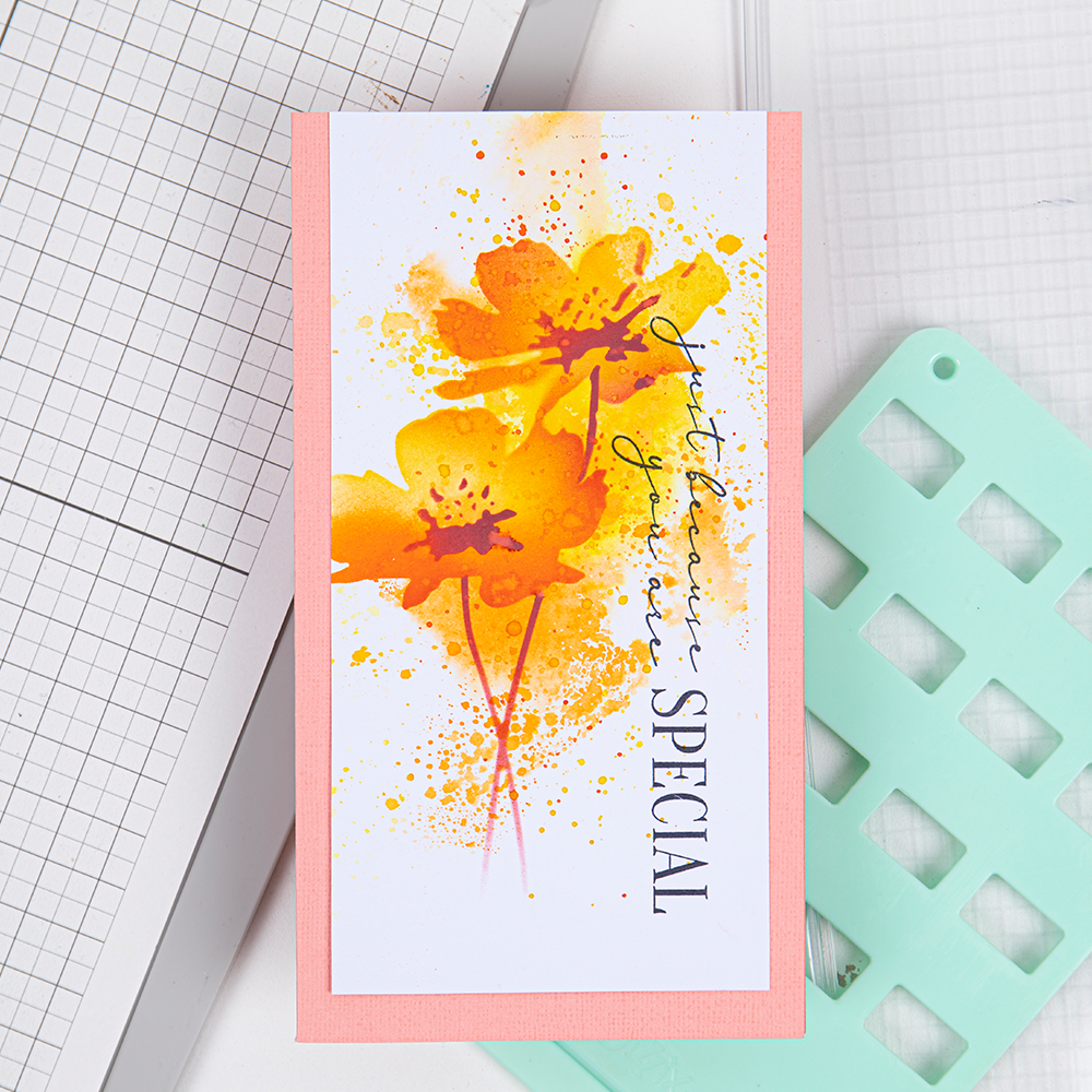 sizzix-clear-stamps-sunnyside-sentiments-6-stempel-5er image 8