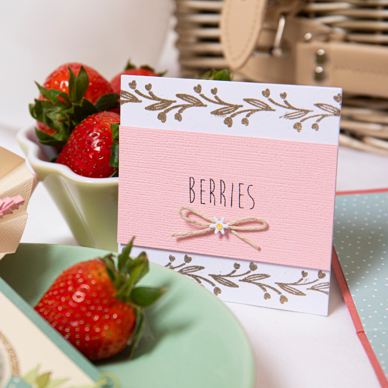 sizzix-clear-stamps-organic-borders-4tlg-bord-ren-botanik image 4