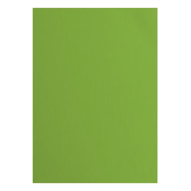 vaessen-creative-florence-tonkarton-a4-frog-gr-n-25-b-gen-textur image 1