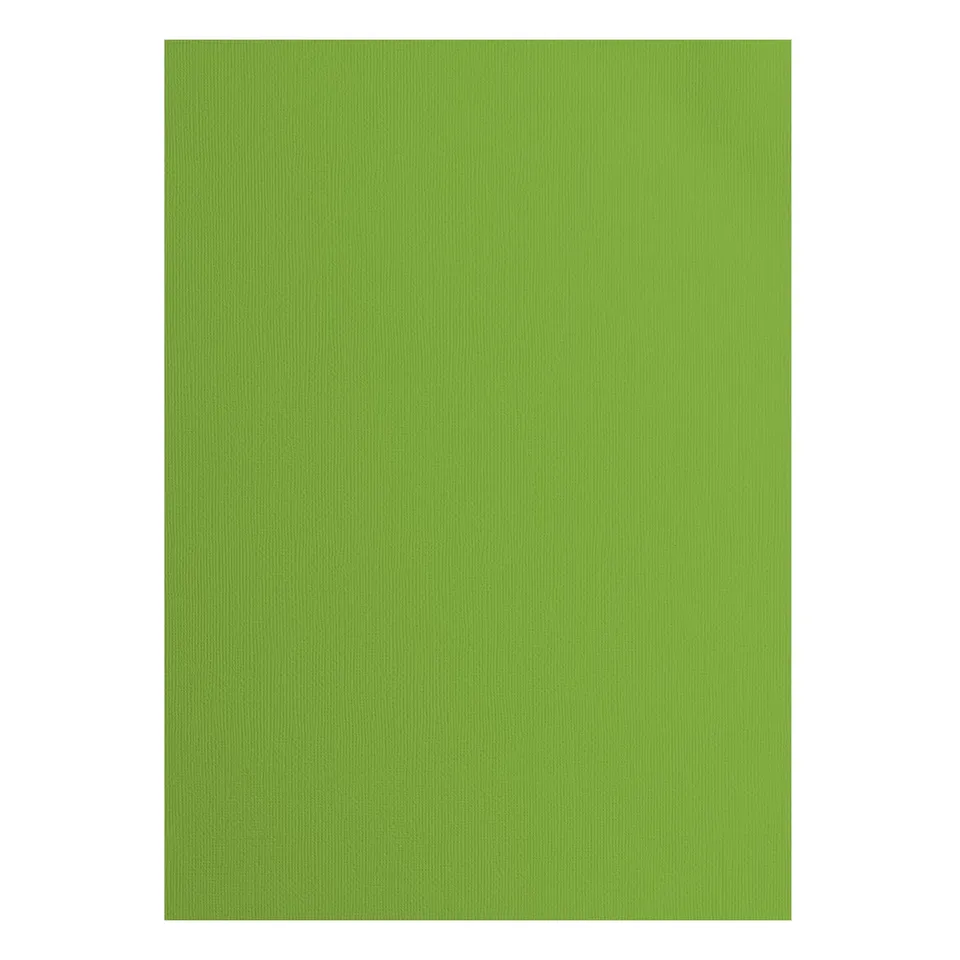 vaessen-creative-florence-tonkarton-a4-frog-gr-n-25-b-gen-textur image 1