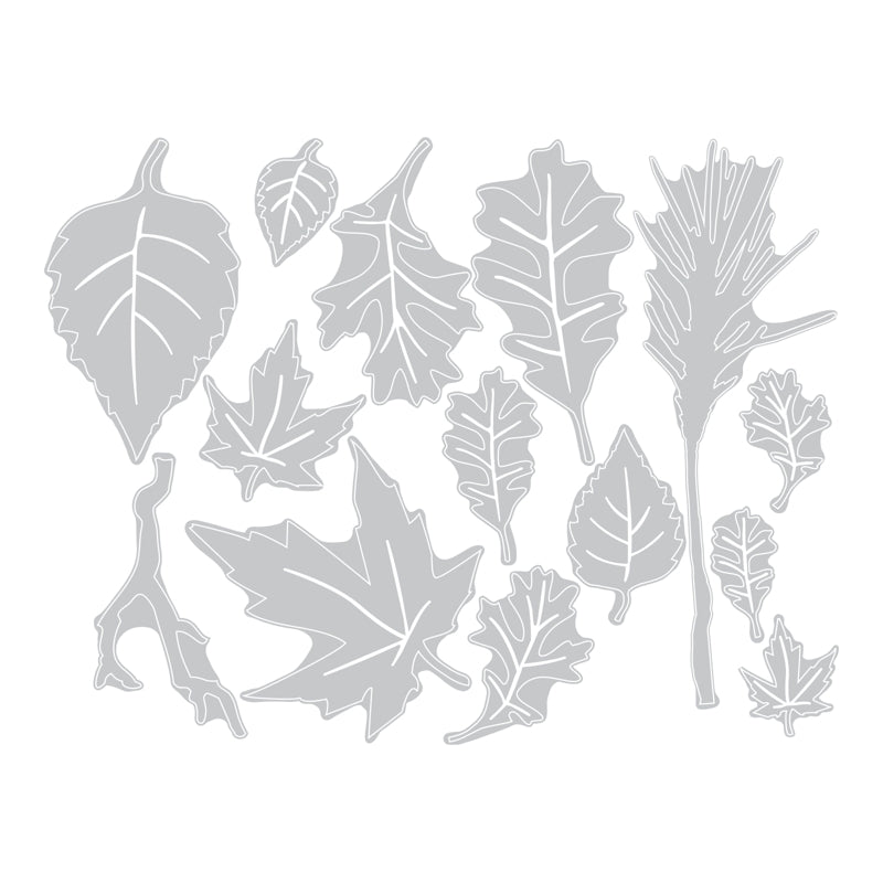 sizzix-thinlits-fall-foliage-stanzen-14er-set-tim-holtz image 3