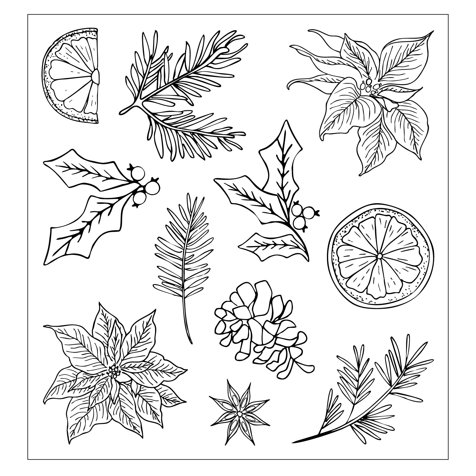 sizzix-clear-stamps-poinsettia-and-pine-stempel-11-tlg-weihnachten image 4