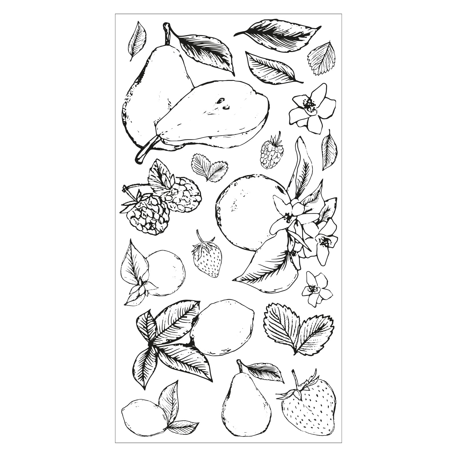 sizzix-clear-stamps-botanical-fruit-stempel-19-tlg-obst image 3