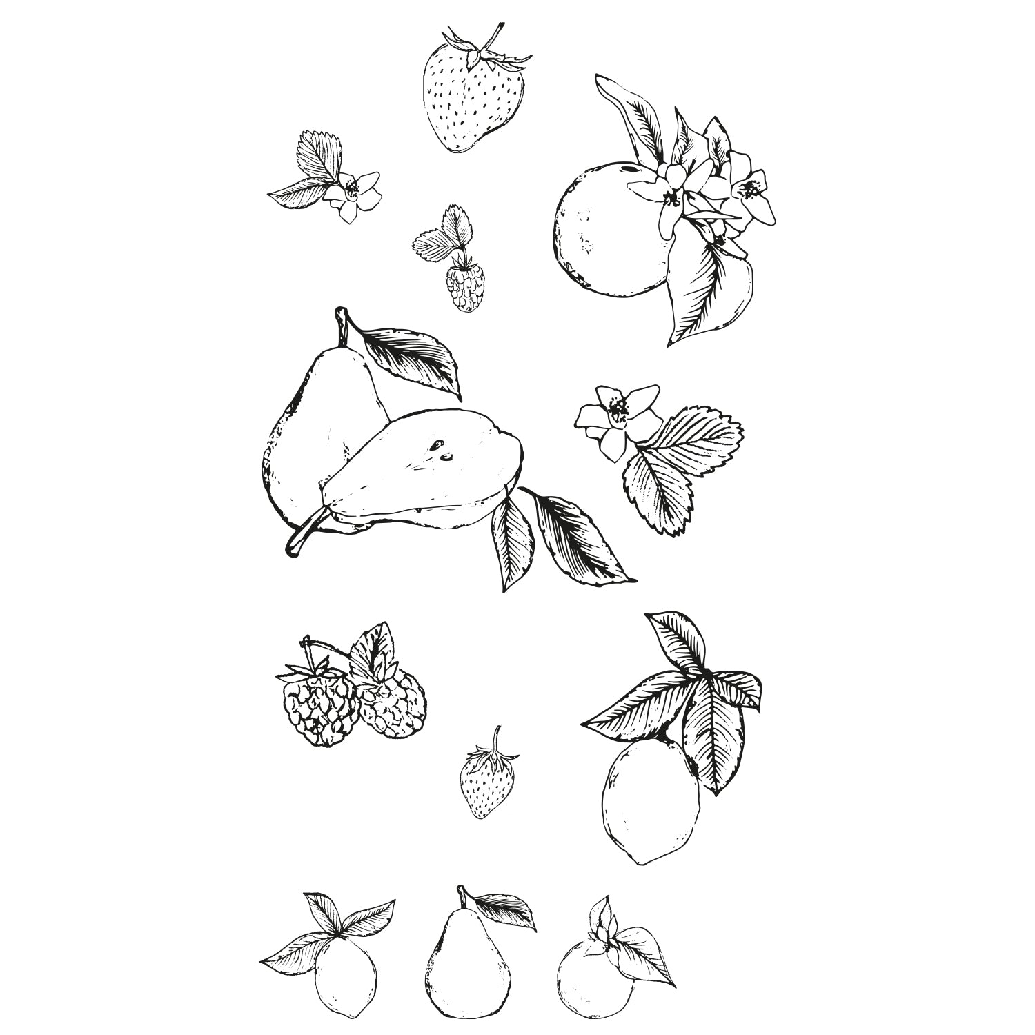 sizzix-clear-stamps-botanical-fruit-stempel-19-tlg-obst image 1