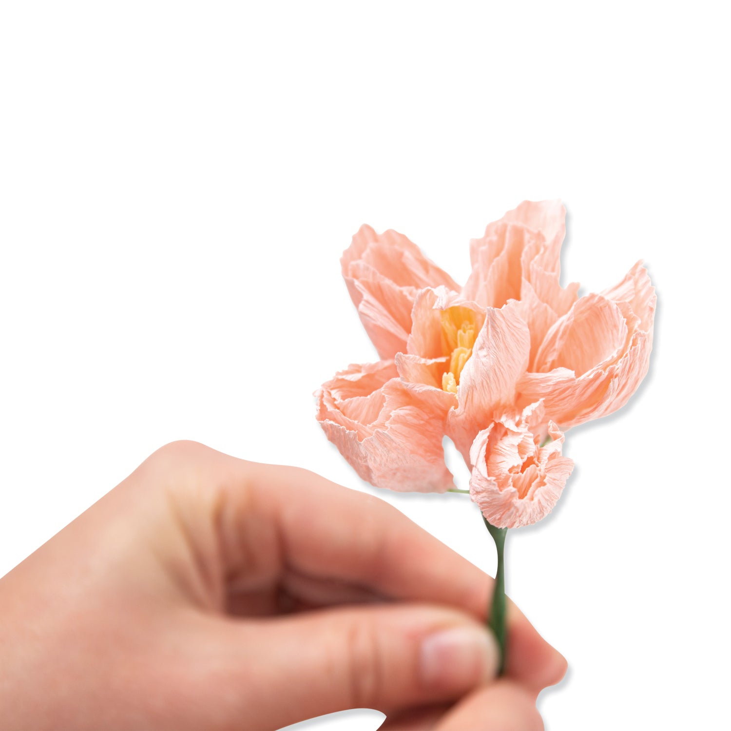 sizzix-thinlits-garden-rose-stanzform-7er-blumen image 5