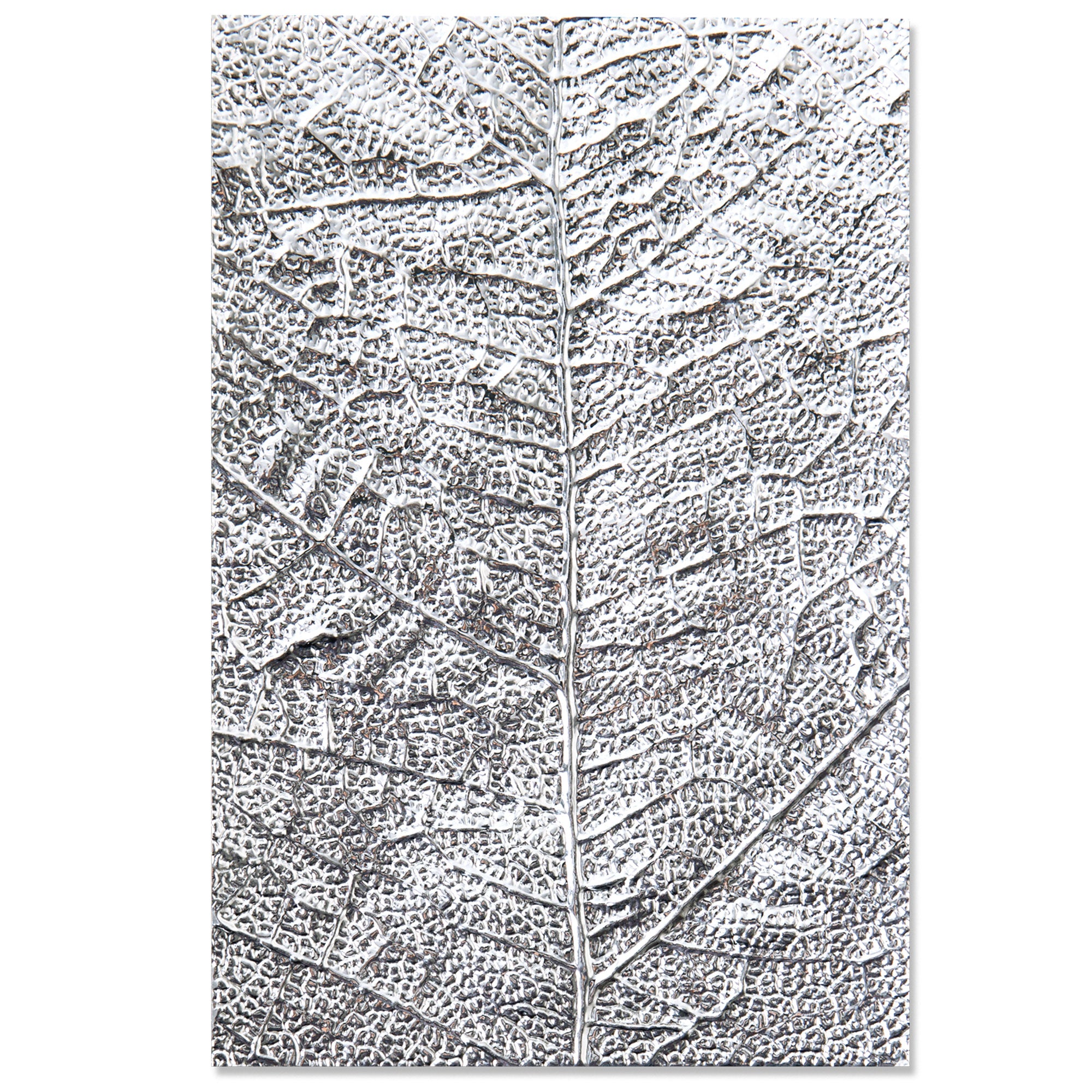 sizzix-3-d-leaf-veins-pr-gefolder-textured-impressions-bl-tter image 1