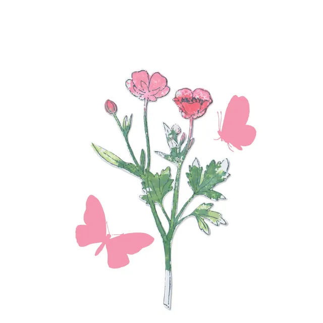 sizzix-framelits-painted-pencil-botanical-stempelset-7-1tlg image 1
