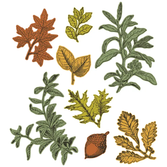 sizzix-framelits-forever-leaves-stempelset-8-teilig-bl-tter image 1