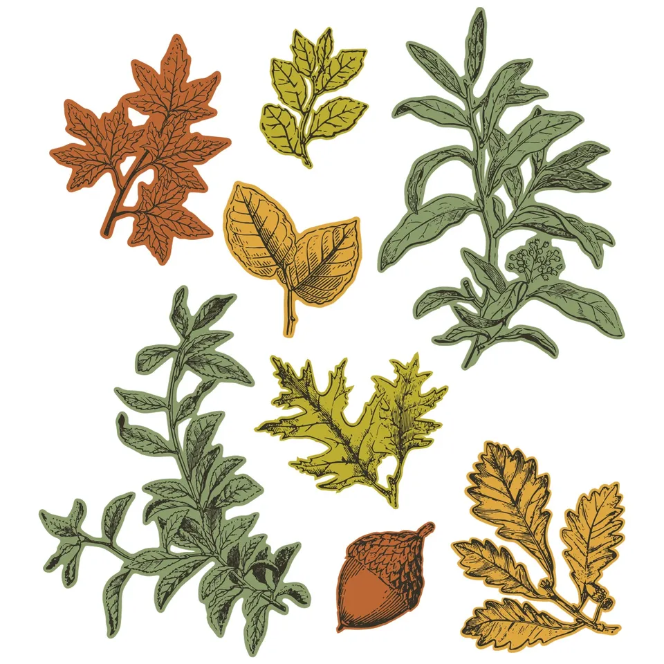 sizzix-framelits-forever-leaves-stempelset-8-teilig-bl-tter image 1