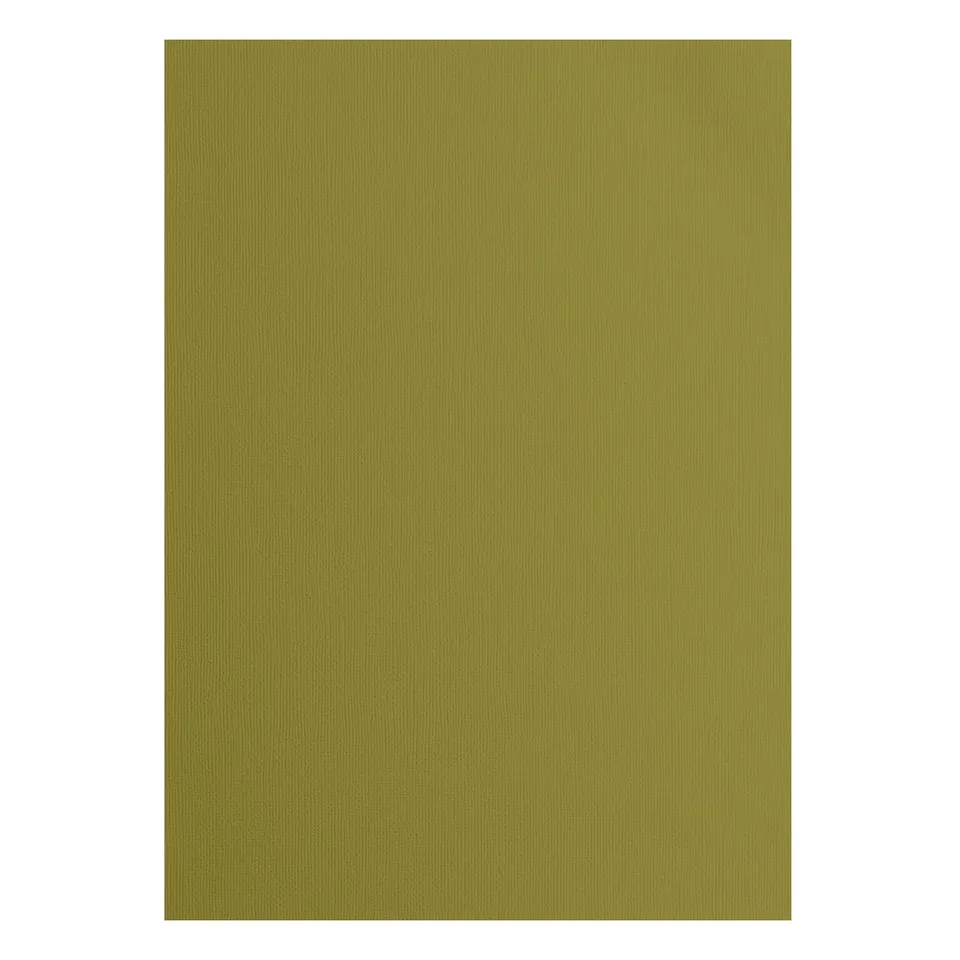 vaessen-creative-florence-tonkarton-a4-acacia-gr-n-25-blatt-216-g image 1