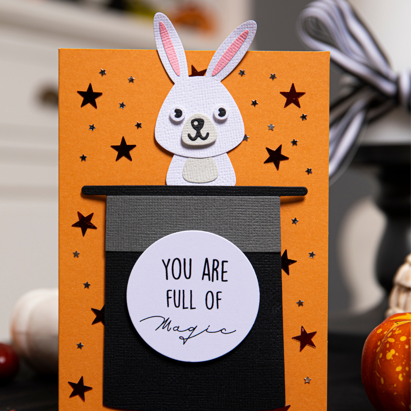 sizzix-thinlits-as-if-by-magic-stanzschablone-5-tlg-zauber image 3