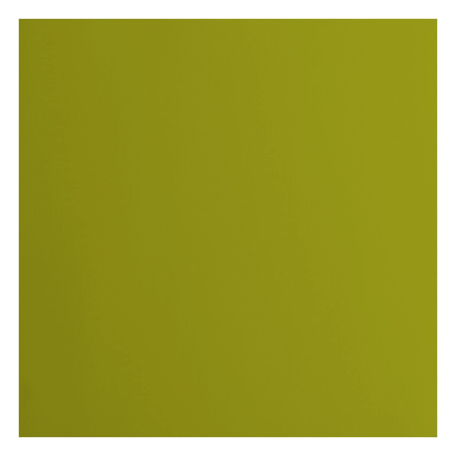 vaessen-florence-cardstock-tonkarton-gr-n-30-5x30-5cm-20-blatt image 1