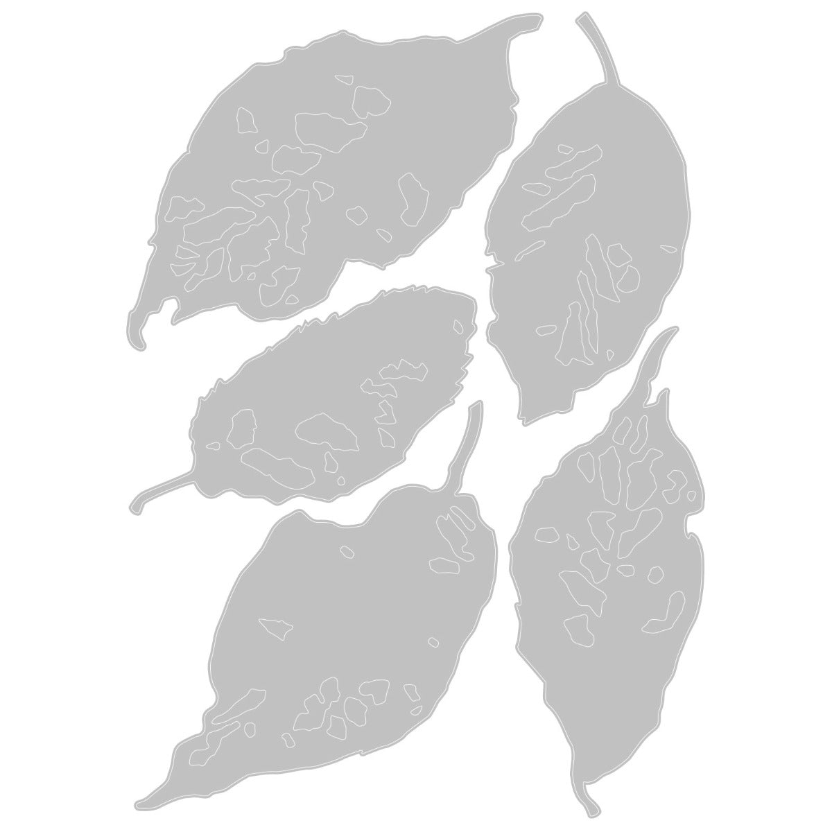 sizzix-thinlits-leaf-fragments-stanzen-5tlg-tim-holtz-bl-tter image 2