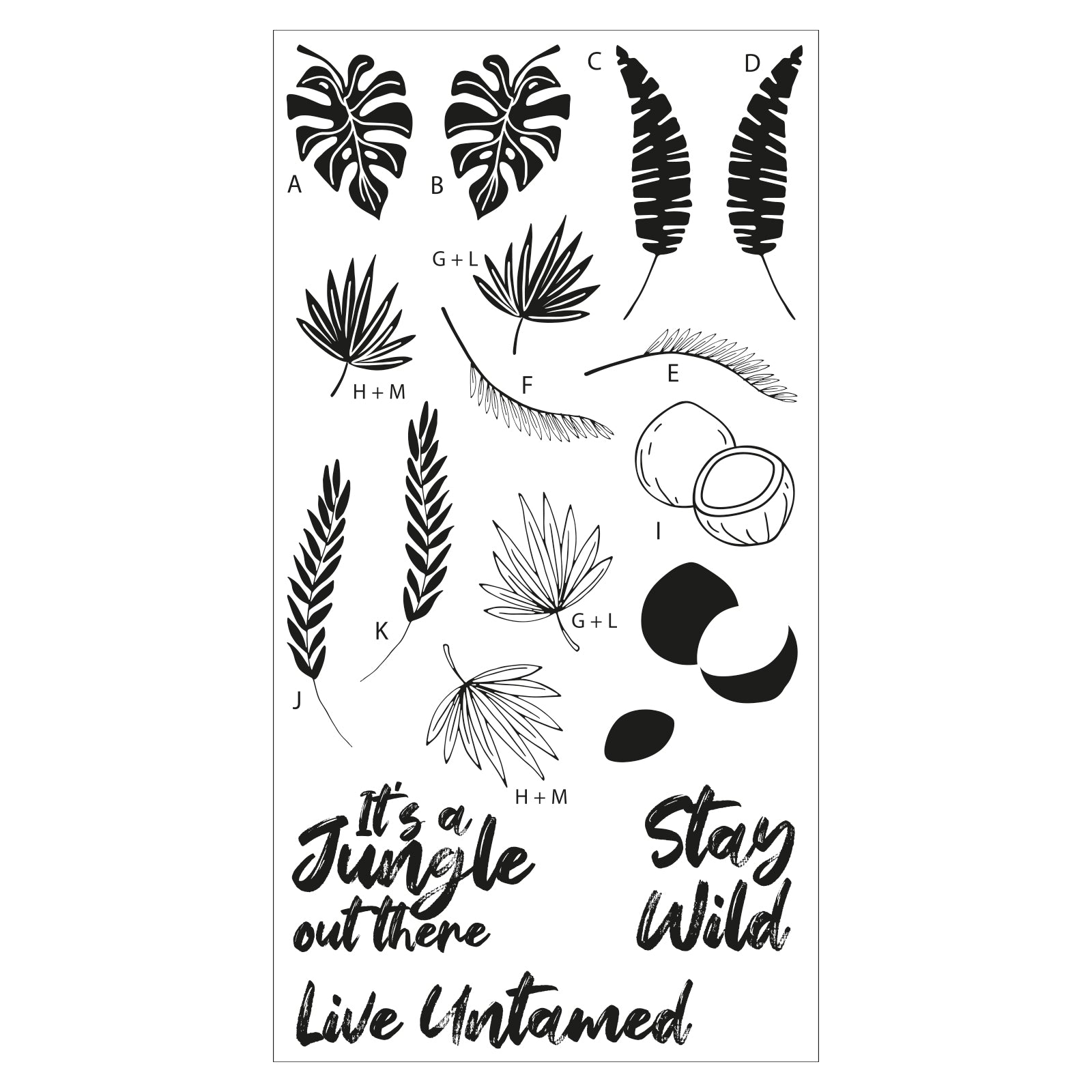 sizzix-stay-wild-clear-stamps-18tlg-tropische-bl-tter-catherine-pooler image 2