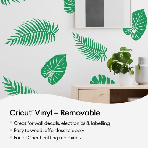 cricut-maker-removable-vinyl-bundle-schwarz-18-rollen image 6