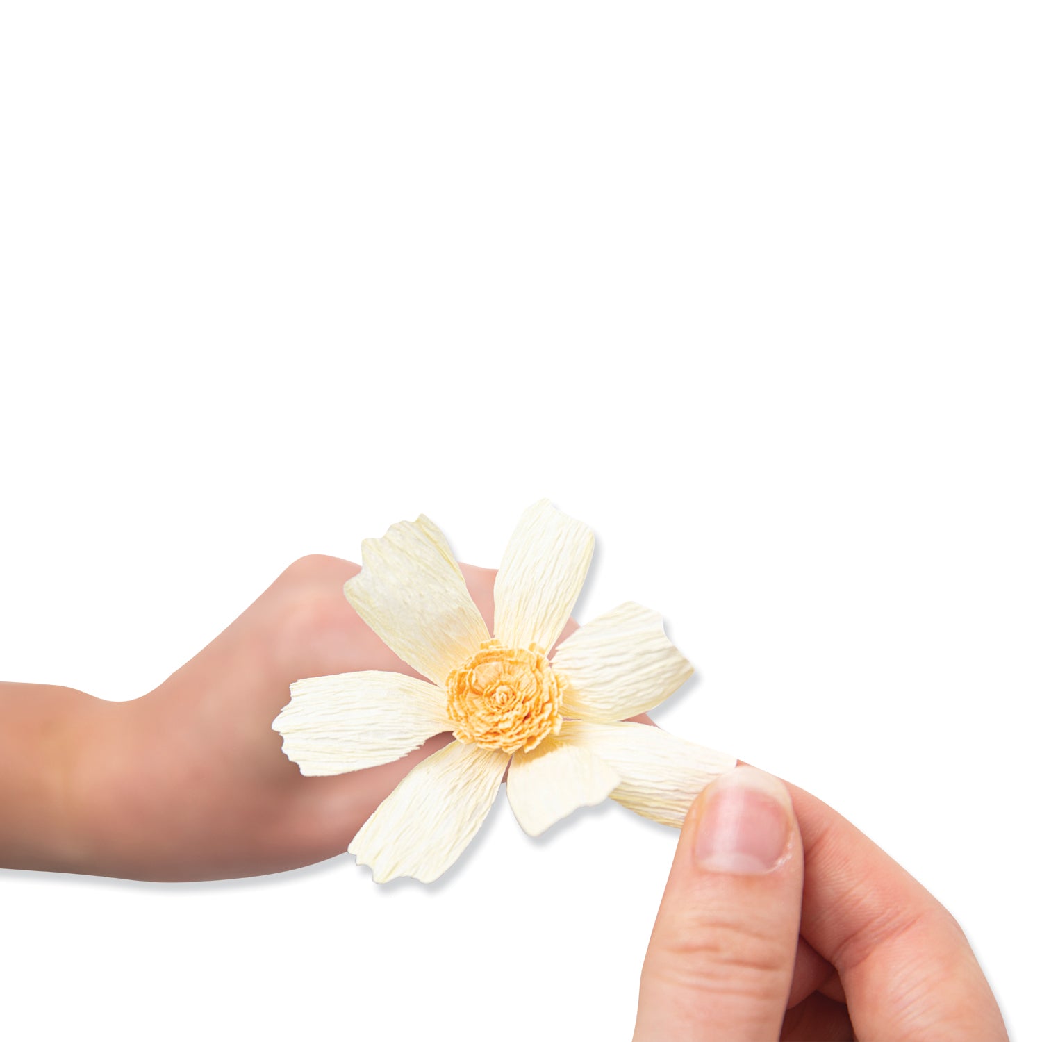 sizzix-thinlits-daisy-flower-mix-stanzschablonen-8-tlg-margerite image 5