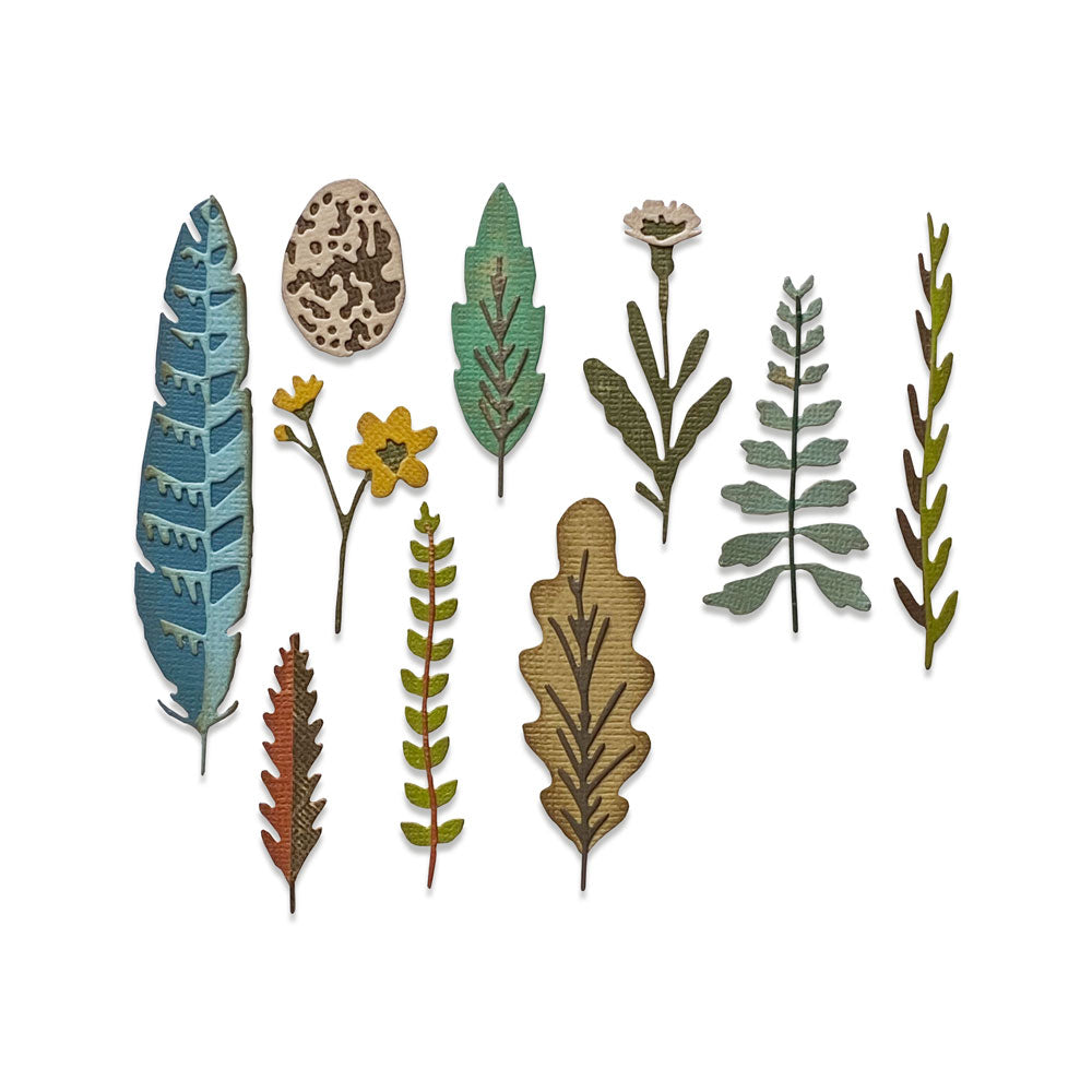 sizzix-thinlits-funky-nature-stanzschablonen-10tlg-tim-holtz image 1