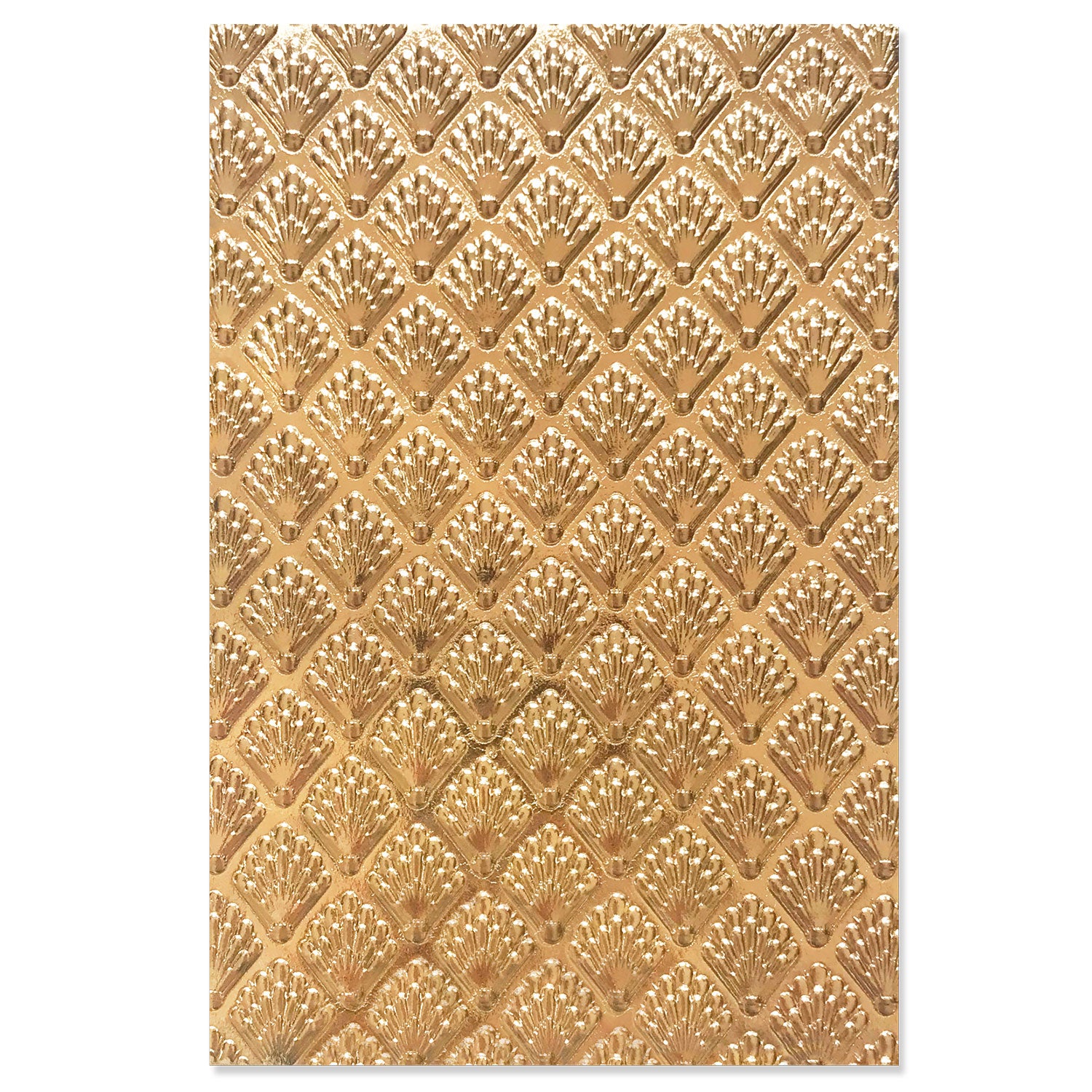 sizzix-3-d-textured-impressions-shells-pr-gefolder-muscheln image 1
