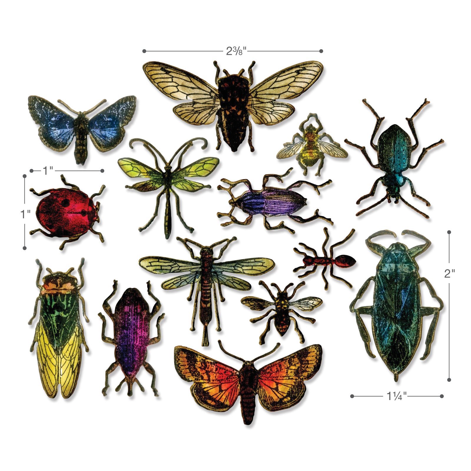 sizzix-framelits-entomology-tim-holtz-stanzschablonen-14tlg-insekten image 2