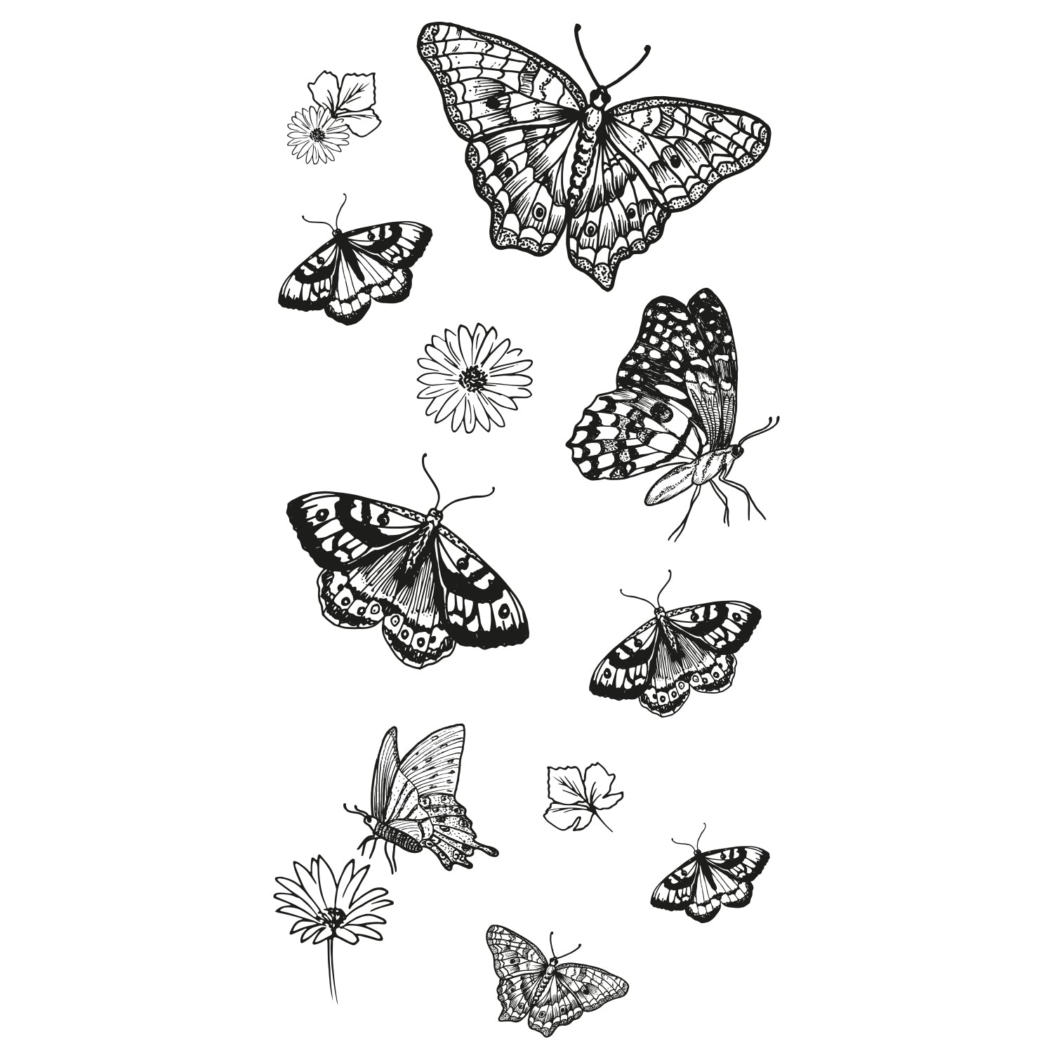 sizzix-clear-stamps-nature-butterflies-stempelset-13tlg image 1